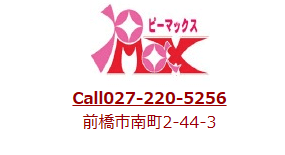 P-MAX(ピーマックス)