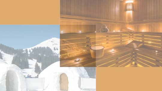 サウナのスタイル