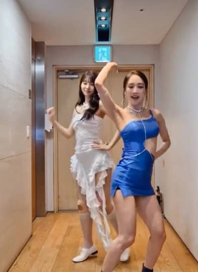 KARA 流出