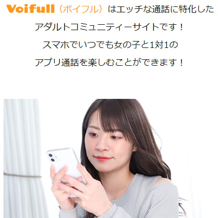 サイトの切り抜き