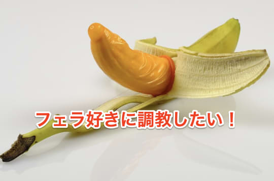 セフレ　フェラ　調教