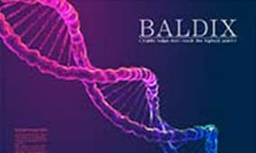 BALDIX(バルディックス)