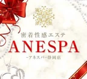 アネスパ 静岡店