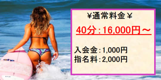 やんちゃな子猫の料金表