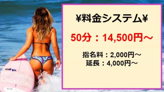 バイオレンスの料金表