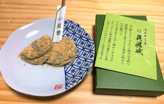 奥嵯峨