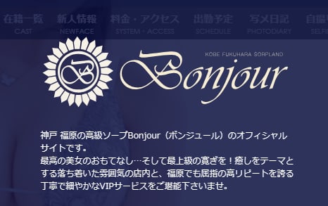 ボンジュール