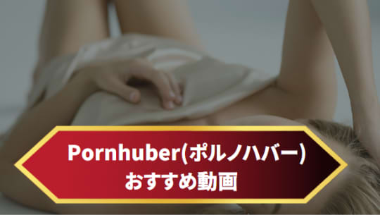 Pornhuber(ポルノハバー)