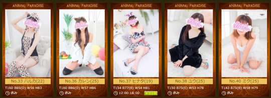 アニマルパラダイス在籍一覧