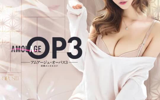 オーパス3のHP画像