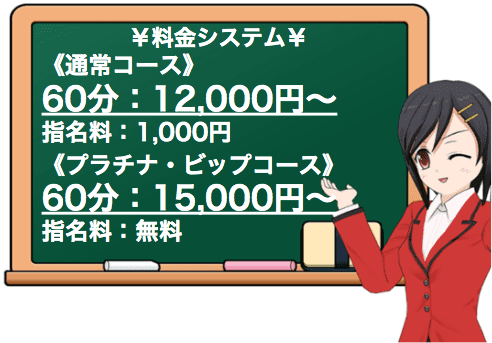 ”maximum(マキシマム)”の料金システム