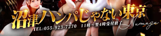 https://hanpa-tokyo.jp/