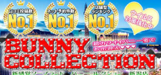 バニーコレクション