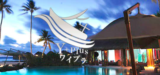 横浜 ワイプラス