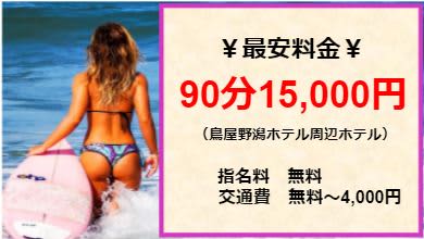 新潟人妻･熟女デリヘルデリバリーコレクションの料金