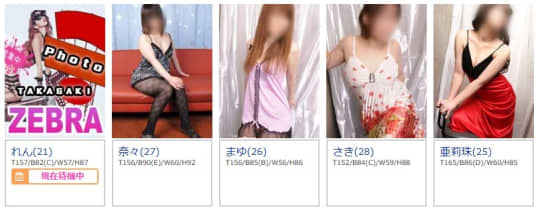 ZEBRAのコース・オプション