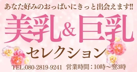 美乳＆巨乳セレクション