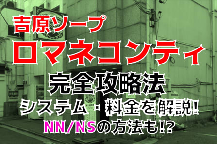 ロマネコンティの紹介記事