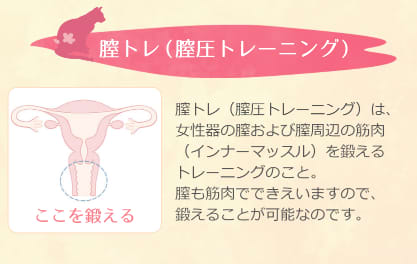 さくらの恋猫
