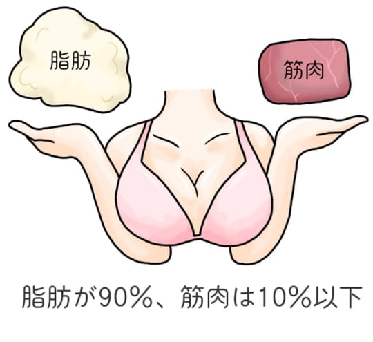 おっぱい