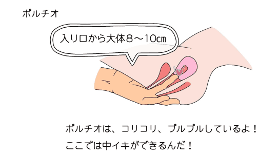 ポルチオ セックス