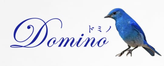https://www.domino5.com