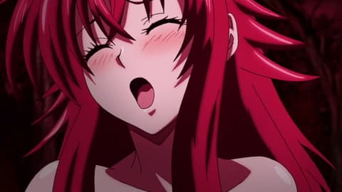 ハイスクールD×D