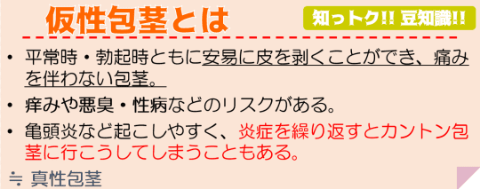 仮性包茎とは？