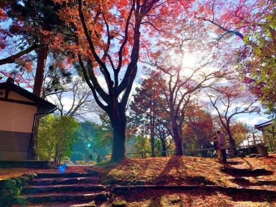 神護寺の紅葉３