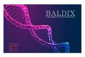 BALDIX(バルディックス)