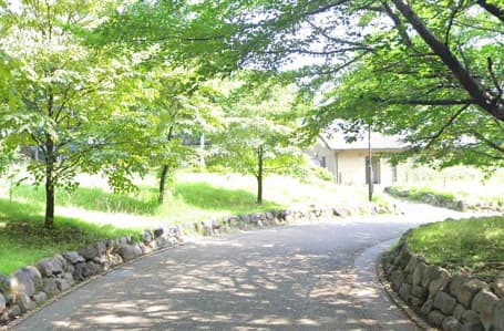 江古田の森公園