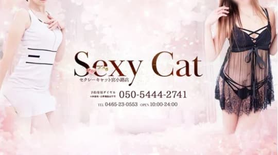 セクシーキャット宮小路店