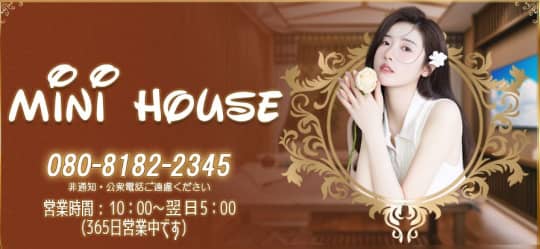 mini house