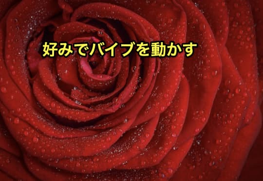 バイブ使い方　動かす