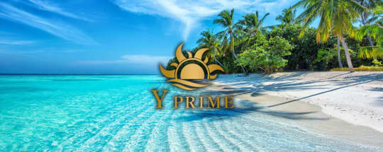 Y-PRIME(旧：Y-Plus)