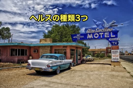 初めてのヘルス　種類