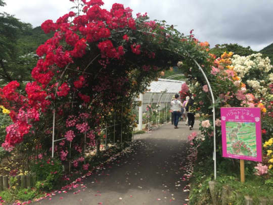 花巻温泉バラ園