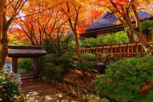 管内の日本庭園を彩る紅葉