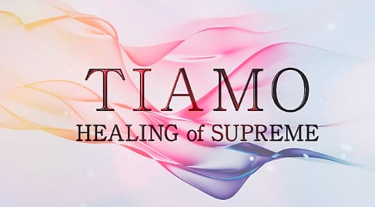 https://www.t-tiamo.jp/index.php