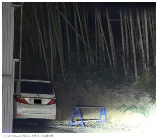 芸能人 ハメ撮り