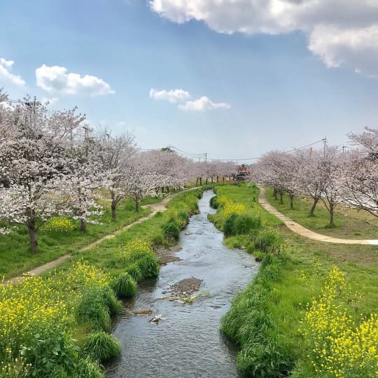 菊池公園