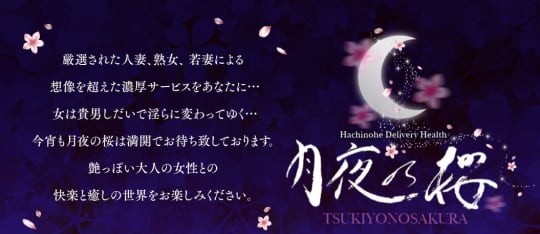 月夜の桜
