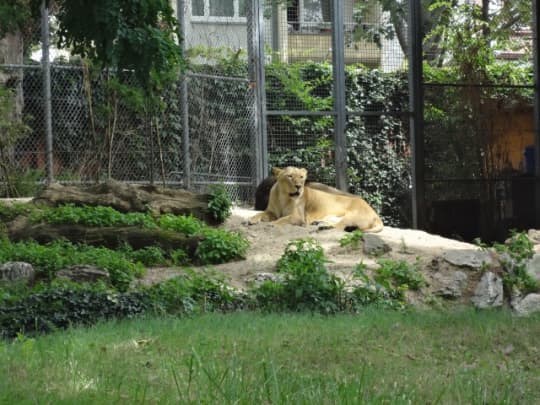 フランクフルト動物園