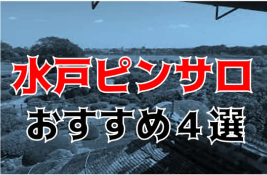 水戸の夜遊び記事