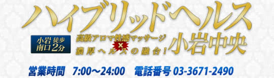 ハイブリッドヘルス