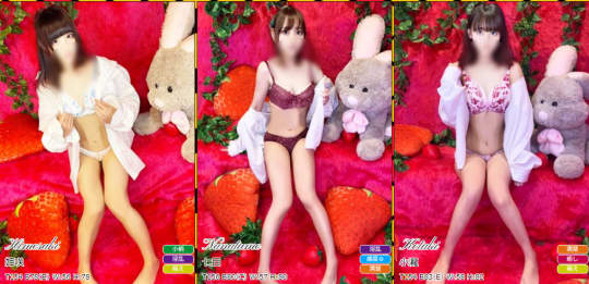 ストバニの在籍一覧