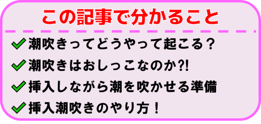 この記事で分かること