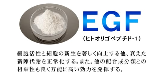 EGFイメージ画像