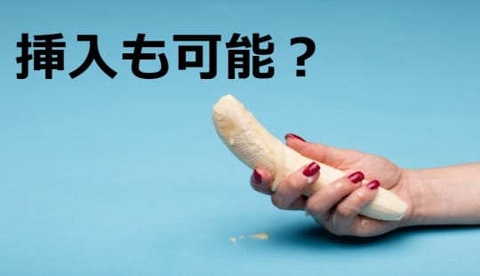 挿入も可能なのか！？