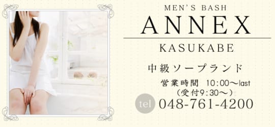 ANNEX